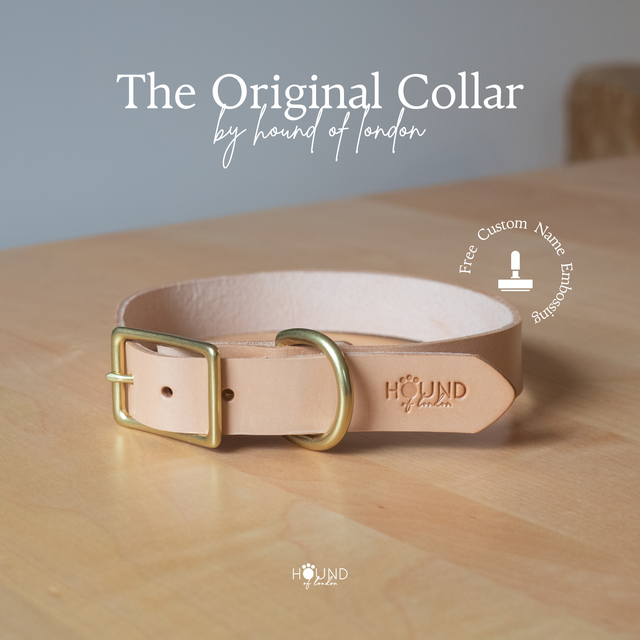 Jessie's accessories dog collars cheap